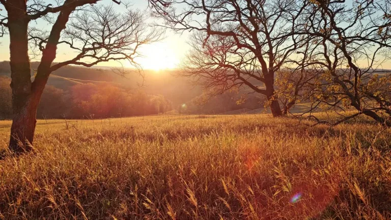Een slaapexpert onthult: de avondroutine die je brein ontspant zonder meditatie-apps