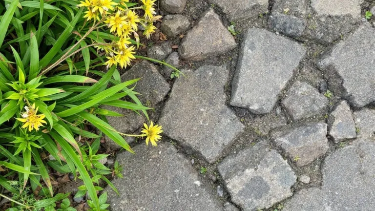 Spoorwegexperts waarschuwen: dít is de grootste oorzaak van urenlange vertragingen op het spoor