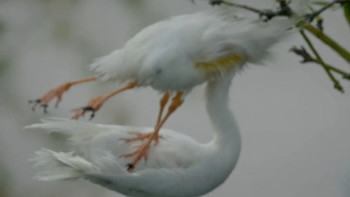 Vergeet eenzaamheid: de ongebruikelijke methode van de moderne mens om weer verbinding te voelen